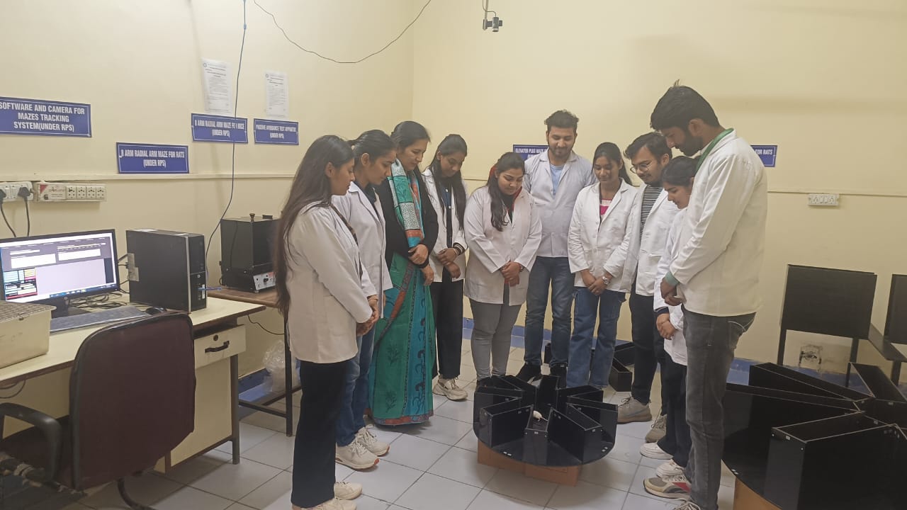 Practical Labs